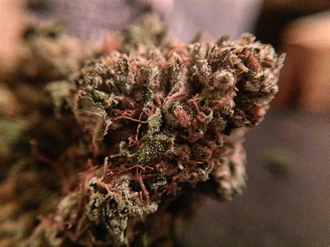 rolex kush|Rollex OG Kush Marijuana Strain Information & Reviews .